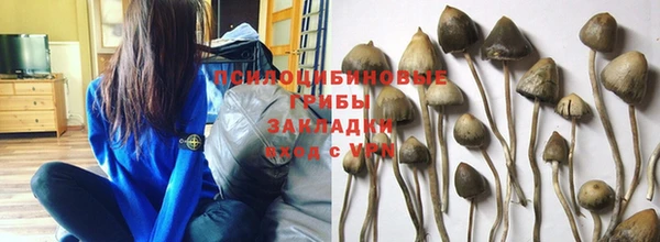 скорость Строитель